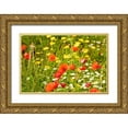 thumbnail image 1 of Wilson, Emily 32x23 Gold Ornate Wood Framed with Double Matting Museum Art Print Titled - Italy-Apulia-Province of Bari Countryside with poppies and other wildflowers, 1 of 4
