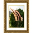 thumbnail image 1 of Wilson, Emily M. 11x14 Gold Ornate Wood Framed with Double Matting Museum Art Print Titled - Middle East-Arabian Peninsula-Oman-Muscat-Quriyat-Decorative plants in a garden, 1 of 4