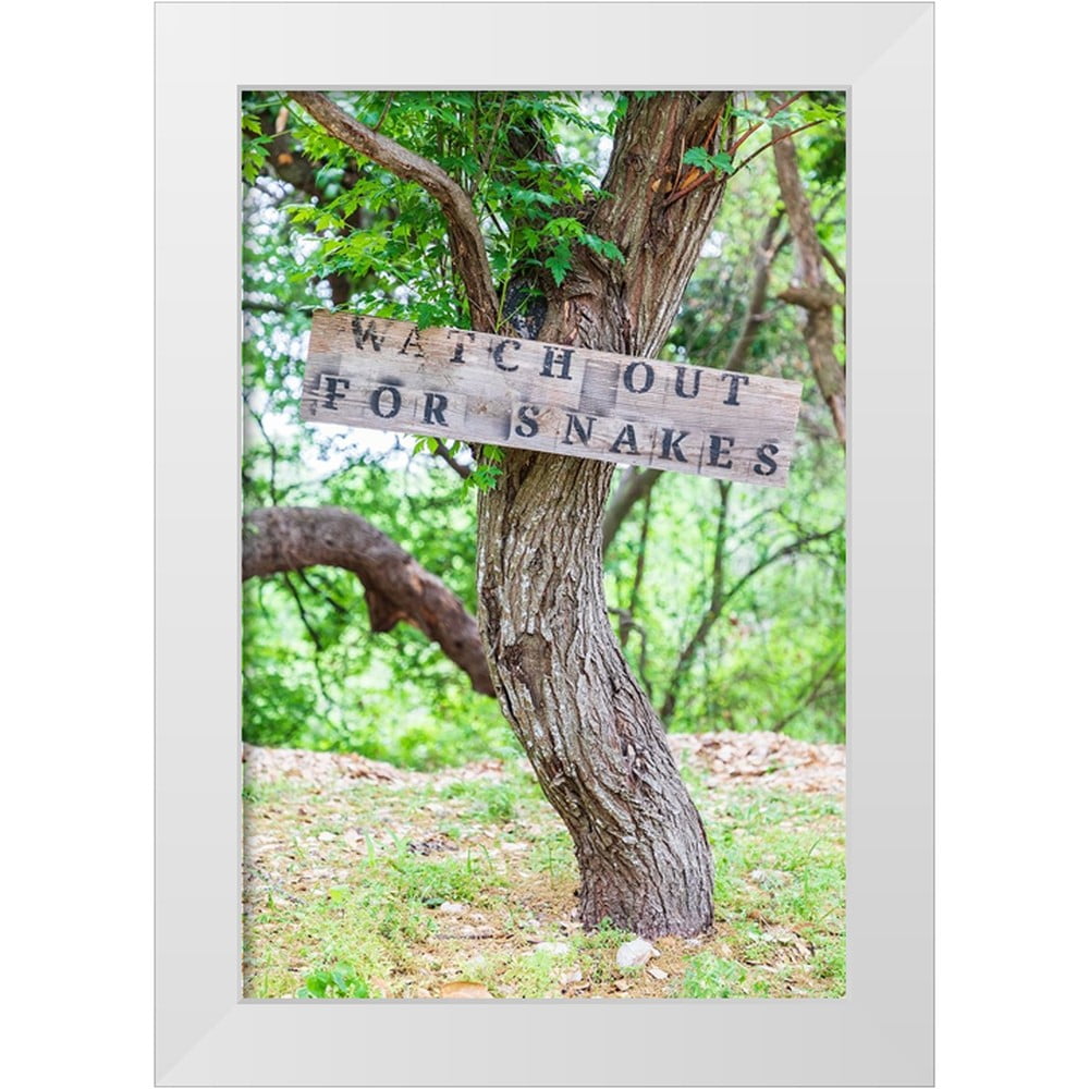 Wilson, Emily M. 11x14 White Modern Wood Framed Museum Art Print Titled