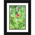 thumbnail image 1 of Wilson, Emily M. 13x18 Black Ornate Wood Framed with Double Matting Museum Art Print Titled - Llano-Texas-USA-Indian Blanket wildflowers in the Texas Hill Country, 1 of 4