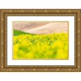 thumbnail image 1 of Wilson, Emily M. 14x11 Gold Ornate Wood Framed with Double Matting Museum Art Print Titled - Lacrosse-Washington State-USA-Blooming canola field in the Palouse hills, 1 of 4