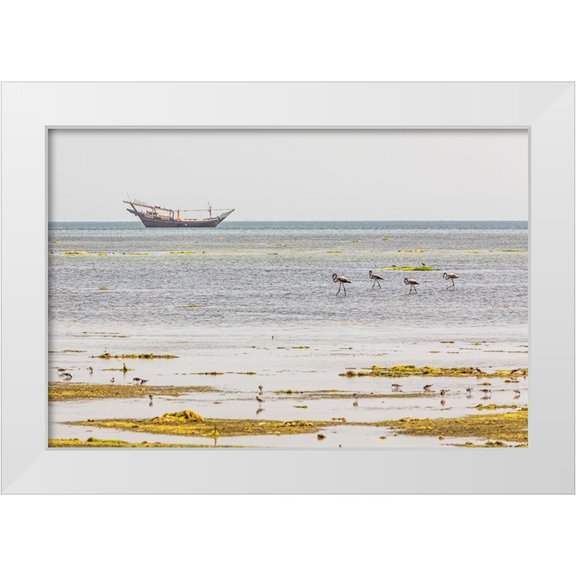 Wilson, Emily M. 18x13 White Modern Wood Framed Museum Art Print Titled - Middle East-Arabian Peninsula-Al Batinah South-Mahout-Flamingos