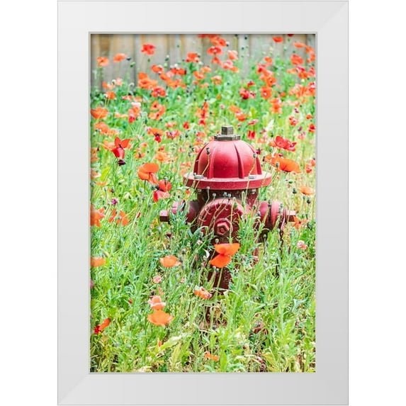 Wilson, Emily M. 23x32 White Modern Wood Framed Museum Art Print Titled - Castroville-Texas-USA-Poppies and fire hydrant in the Texas Hill Country