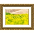 thumbnail image 1 of Wilson, Emily M. 24x17 Gold Ornate Wood Framed with Double Matting Museum Art Print Titled - Lacrosse-Washington State-USA-Blooming canola field in the Palouse hills, 1 of 4