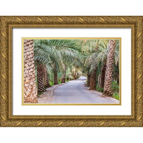 Wilson, Emily M. 24x17 Gold Ornate Wood Framed with Double Matting Museum Art Print Titled - Middle East-Arabian Peninsula-Oman-Ad Dakhiliyah-Nizwa-Palm trees along a road in Nizwa-Oman