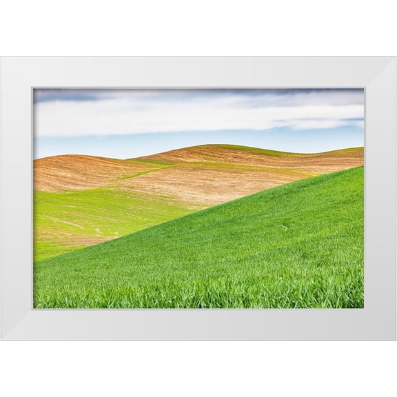 Wilson, Emily M. 32x23 White Modern Wood Framed Museum Art Print Titled - Pullman-Washington State-USA-Rolling wheat fields in the Palouse hills