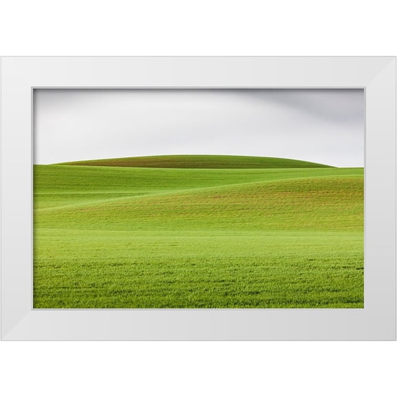 Wilson, Emily M. 32x23 White Modern Wood Framed Museum Art Print Titled - Steptoe-Washington State-USA-Wheat fields in the rolling Palouse hills of Washington