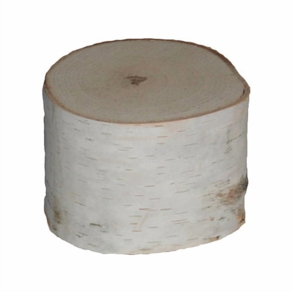 Wilson Enterprises, Inc. Birch Pillar Sculpture (Set of 4)