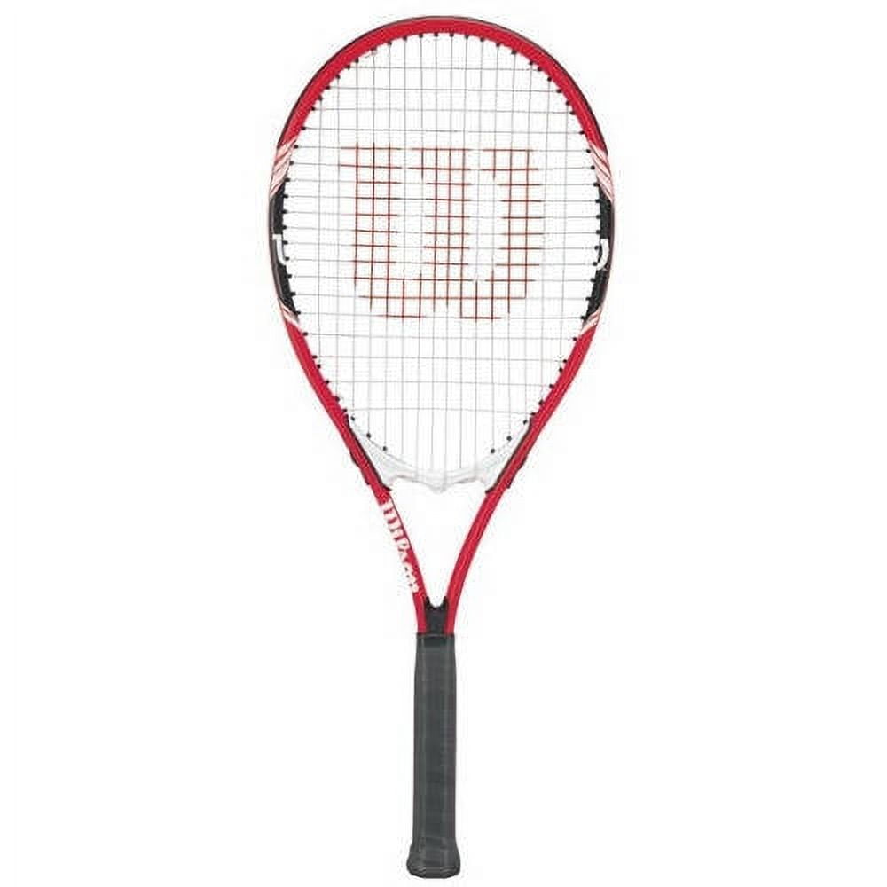WILSON FEDERER BALL 5缶 WILSON FEDERER BALL 5缶