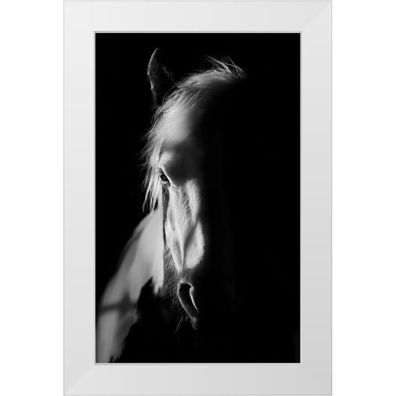 Wilson, Francis 10x14 White Modern Wood Framed Museum Art Print Titled - Catching Light