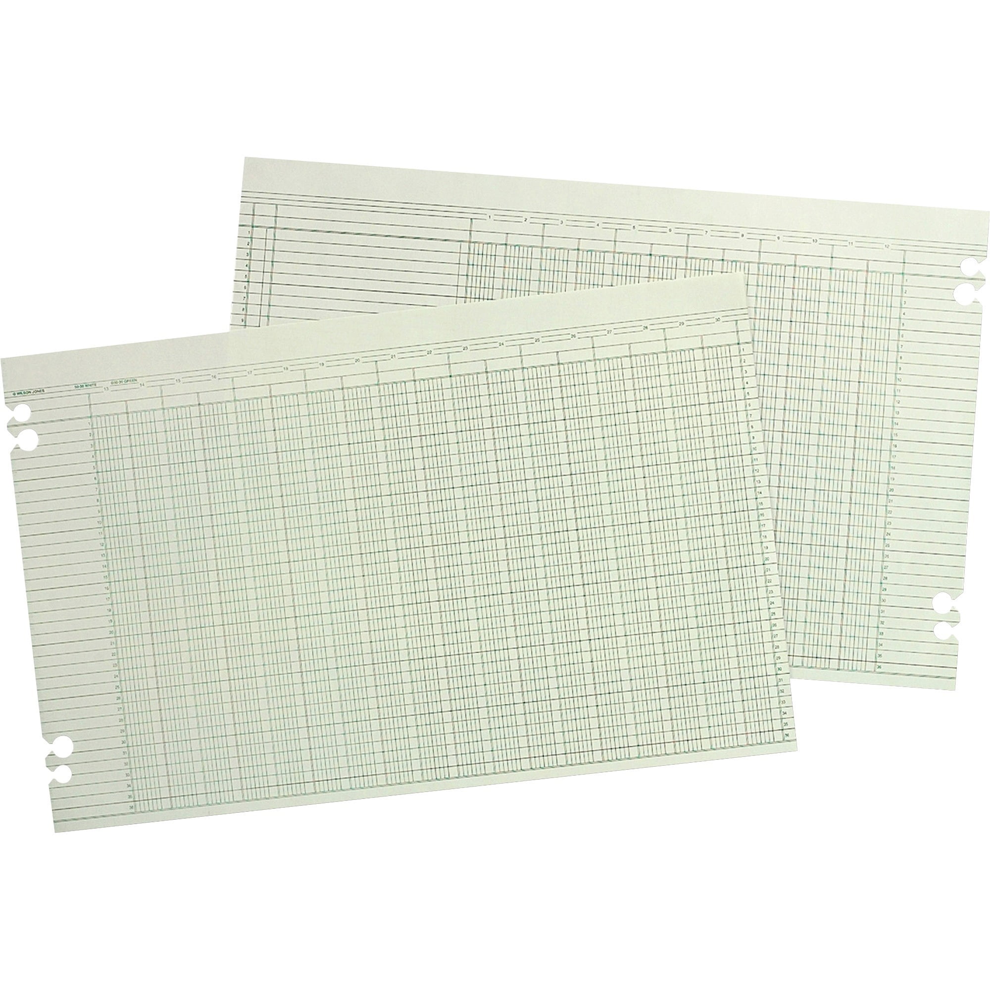 Wilson Jones Accounting Sheets 30 Columns, 100 Loose Sheets, Green
