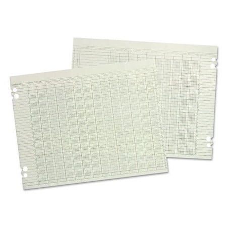 Wilson Jones Accounting Sheets 30 Columns Loose Sheets, 100 Pack