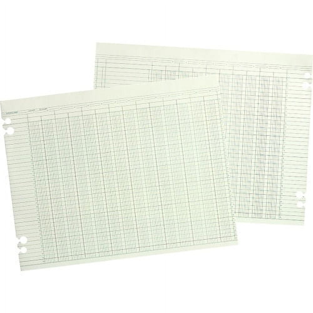 Wilson Jones Columnar Ruled Sheets 24 lb Double Sided Sheet Ledger