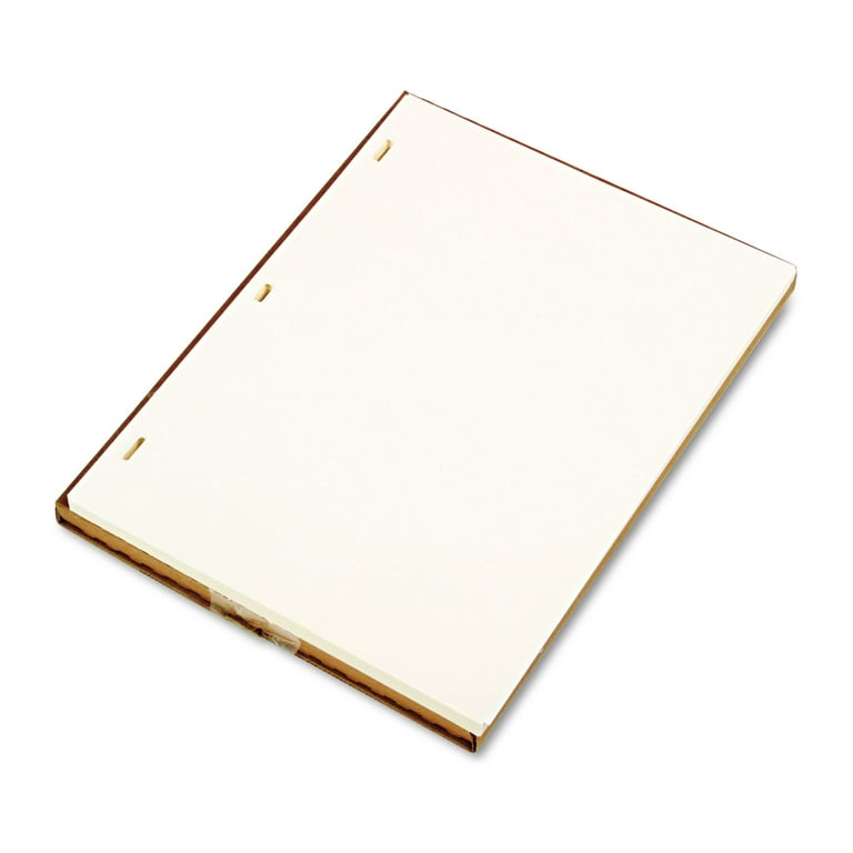 Looseleaf Minute Book Ledger Sheets, 11 x 8.5, Ivory, Loose Sheet, 100/Box Looseleaf Minute Book Ledger Sheets, 11 x 8.5, Ivory, Loose Sheet, 100/Box