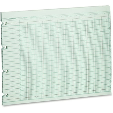 Wilson Jones, WLJG1020, 20-Column Ruled Sheets, 100 / Pack