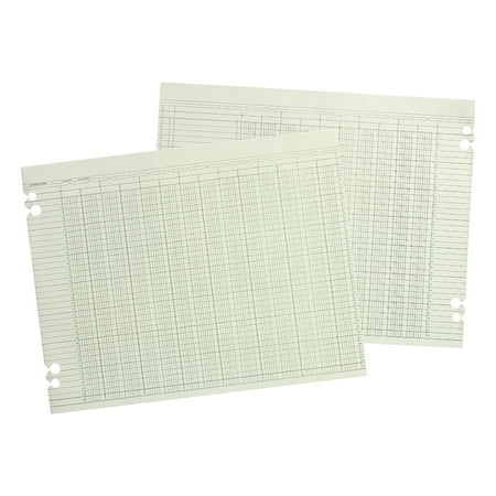 Wilson Jones, WLJG1020, 20-Column Ruled Sheets, 100 / Pack