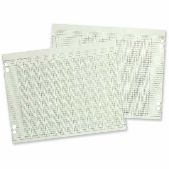 Wilson Jones, WLJG1020, 20-Column Ruled Sheets, 100 / Pack