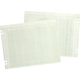 thumbnail image 1 of Wilson Jones, WLJG1024, Prepunched Ledger Paper Sheets, 100 / Pack, 1 of 2
