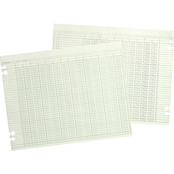 Wilson Jones, WLJG1024, Prepunched Ledger Paper Sheets, 100 / Pack