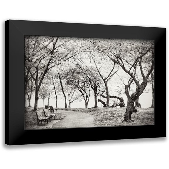 Wilson, Kali 14x11 Black Modern Framed Museum Art Print Titled - Path Walk
