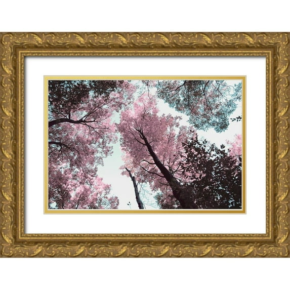 Wilson, Kali 14x11 Gold Ornate Wood Framed with Double Matting Museum Art Print Titled - Blooming Cherry Blossom