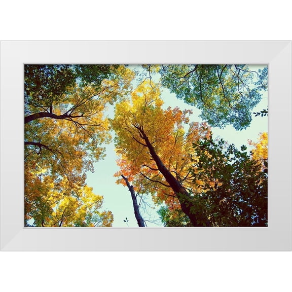 Wilson, Kali 14x11 White Modern Wood Framed Museum Art Print Titled - Looking Up