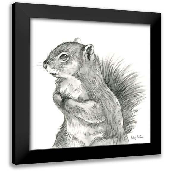 Wilson, Kelsey 12x12 Black Modern Framed Museum Art Print Titled - Watercolor Pencil Forest IV-Squirrel