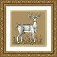 thumbnail image 1 of Wilson, Kelsey 12x12 Gold Ornate Wood Framed with Double Matting Museum Art Print Titled - Watercolor Pencil Forest color XI-Deer 2, 1 of 4