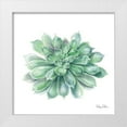 thumbnail image 1 of Wilson, Kelsey 12x12 White Modern Wood Framed Museum Art Print Titled - Single Succulents IV, 1 of 4