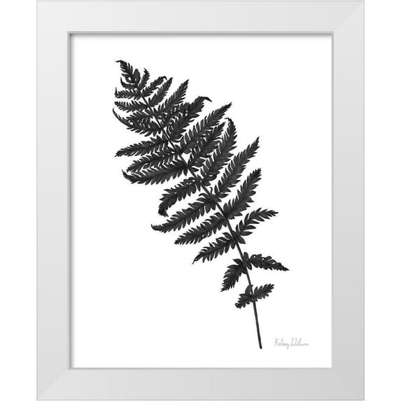 Wilson, Kelsey 12x14 White Modern Wood Framed Museum Art Print Titled - Neutral Fern black I
