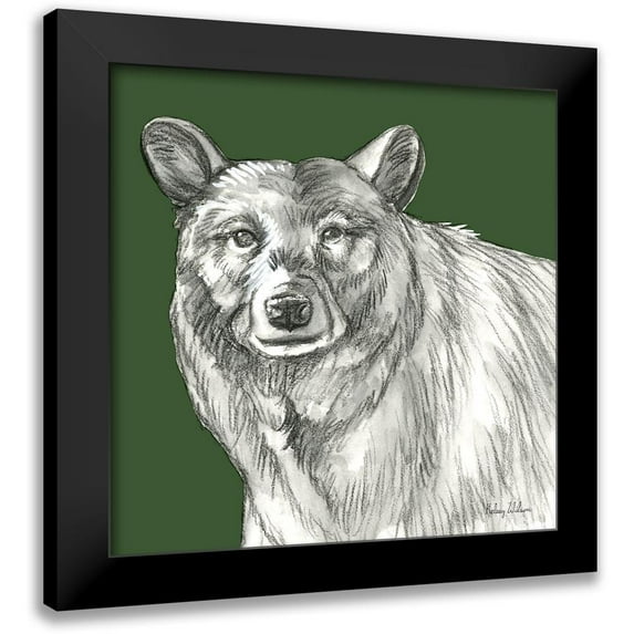 Wilson, Kelsey 15x15 Black Modern Framed Museum Art Print Titled - Watercolor Pencil Forest color V-Bear
