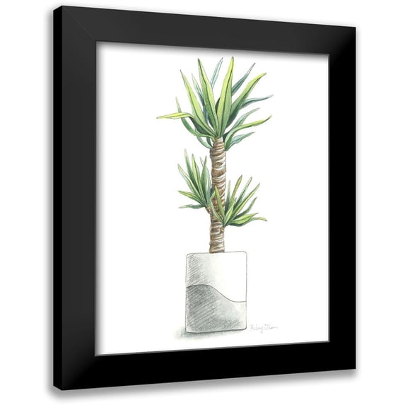 Wilson, Kelsey 15x18 Black Modern Framed Museum Art Print Titled - Potted Exotics III