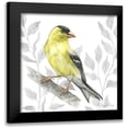 thumbnail image 1 of Wilson, Kelsey 20x20 Black Modern Framed Museum Art Print Titled - Backyard Birds III-Goldfinch I, 1 of 5