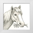 thumbnail image 1 of Wilson, Kelsey 26x26 White Modern Wood Framed Museum Art Print Titled - Watercolor  Pencil Farm III-Horse, 1 of 4
