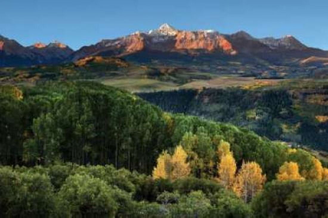 Wilson Peak Yellow Aspen Hills Canvas Art - Larry Malvin (12 x 18)