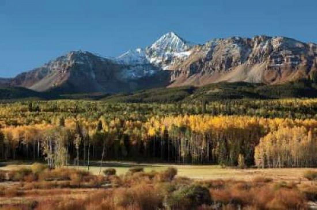Wilson Peak Yellow Aspens Canvas Art - Larry Malvin (12 x 18)