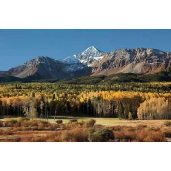 Wilson Peak Yellow Aspens Poster Print by Larry Malvin (12 x 18)