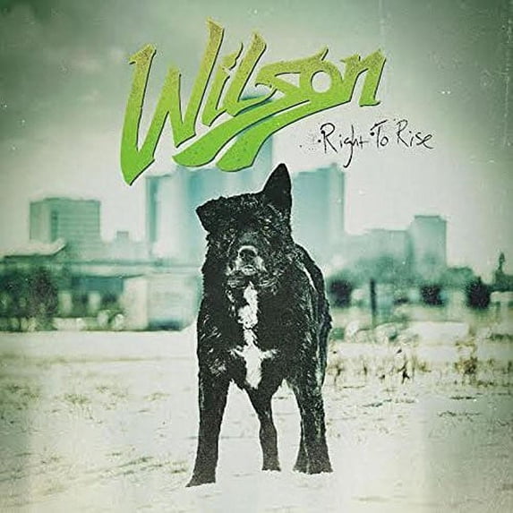 Wilson - Right to Rise - Music & Performance - CD