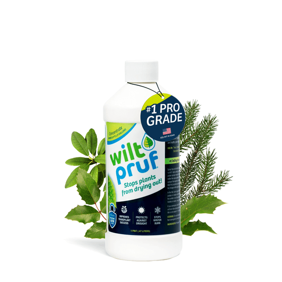 Wilt-Pruf Concentrate | Protect Against Winter Damage, Drought, and Stress | Just Spray & Let Dry | Locks in Moisture w/Clear Foliar Film | Professional-Grade & Trusted | Replaces Burlap | (16 oz)