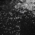 thumbnail image 1 of Wilt Wilt & Oceans (CD), 1 of 1