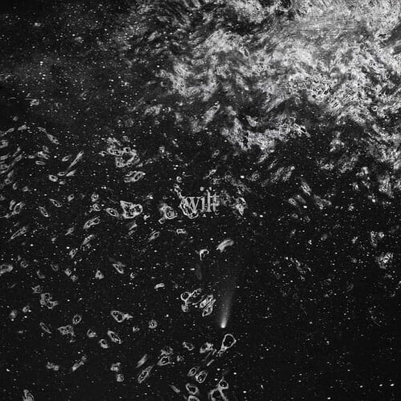 Wilt Wilt & Oceans (CD)