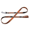 thumbnail image 1 of WinCraft Anaheim Ducks Pet Leash, 1 of 1