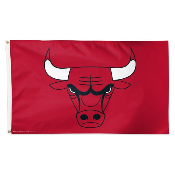 WinCraft Chicago Bulls 3' x 5' Single-Sided Deluxe Primary Team Logo Flag