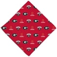 thumbnail image 1 of WinCraft Georgia Bulldogs College Football Playoff 2022 National Champions Pet Bandana, 1 of 1