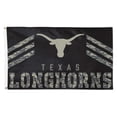 thumbnail image 1 of WinCraft Texas Longhorns 3' x 5' Alternate Logo Deluxe Single-Sided Flag, 1 of 1
