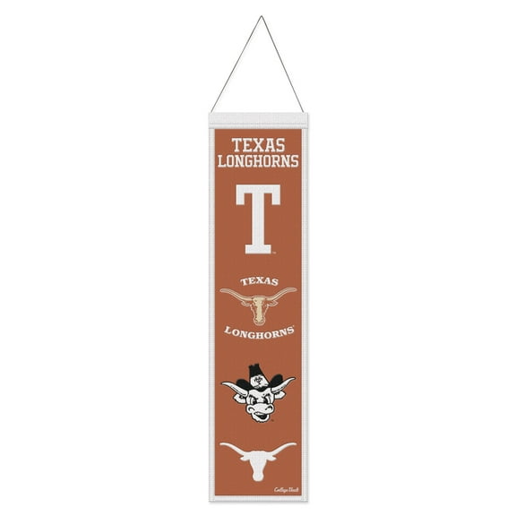 WinCraft Texas Longhorns 8" x 32" Evolution Banner