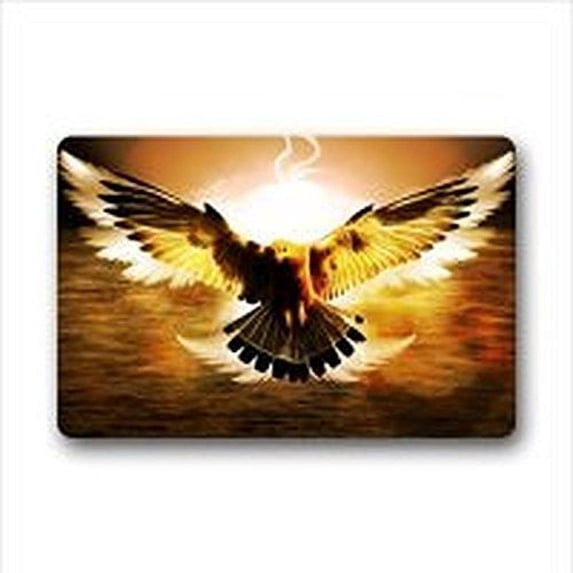 WinHome Acute Eagle Doormat Floor Mats Rugs Outdoors/Indoor Doormat Size 23.6x15.7 inches