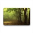 thumbnail image 1 of WinHome Amazing Misty est Doormat Floor Mats Rugs Outdoors/Indoor Doormat Size 23.6x15.7 inches, 1 of 1