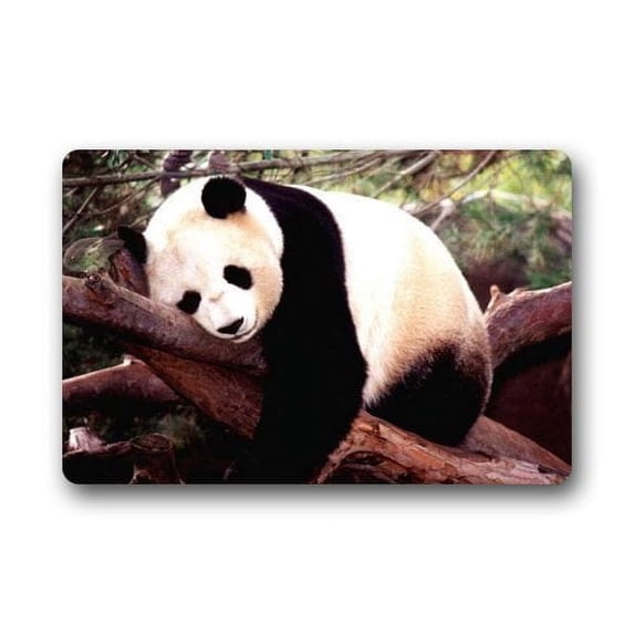 WinHome Animal Bear Doormat Floor Mats Rugs Outdoors/Indoor Doormat Size 23.6x15.7 inches