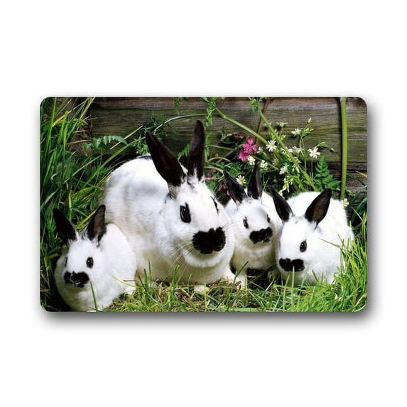 WinHome Animal Doormat Floor Mats Rugs Outdoors/Indoor Doormat Size 23.6x15.7 inches